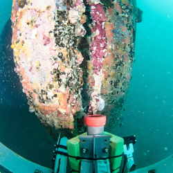 CP survey field imagery